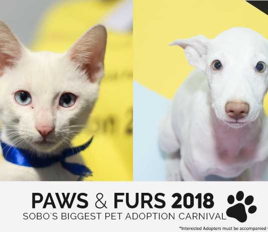 Paws and Furs 2018