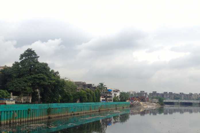 Mumbaikars Choose Mangroves Over Sewage Treatment Plant