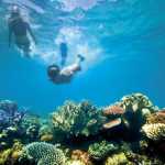 Great barrier reef-min