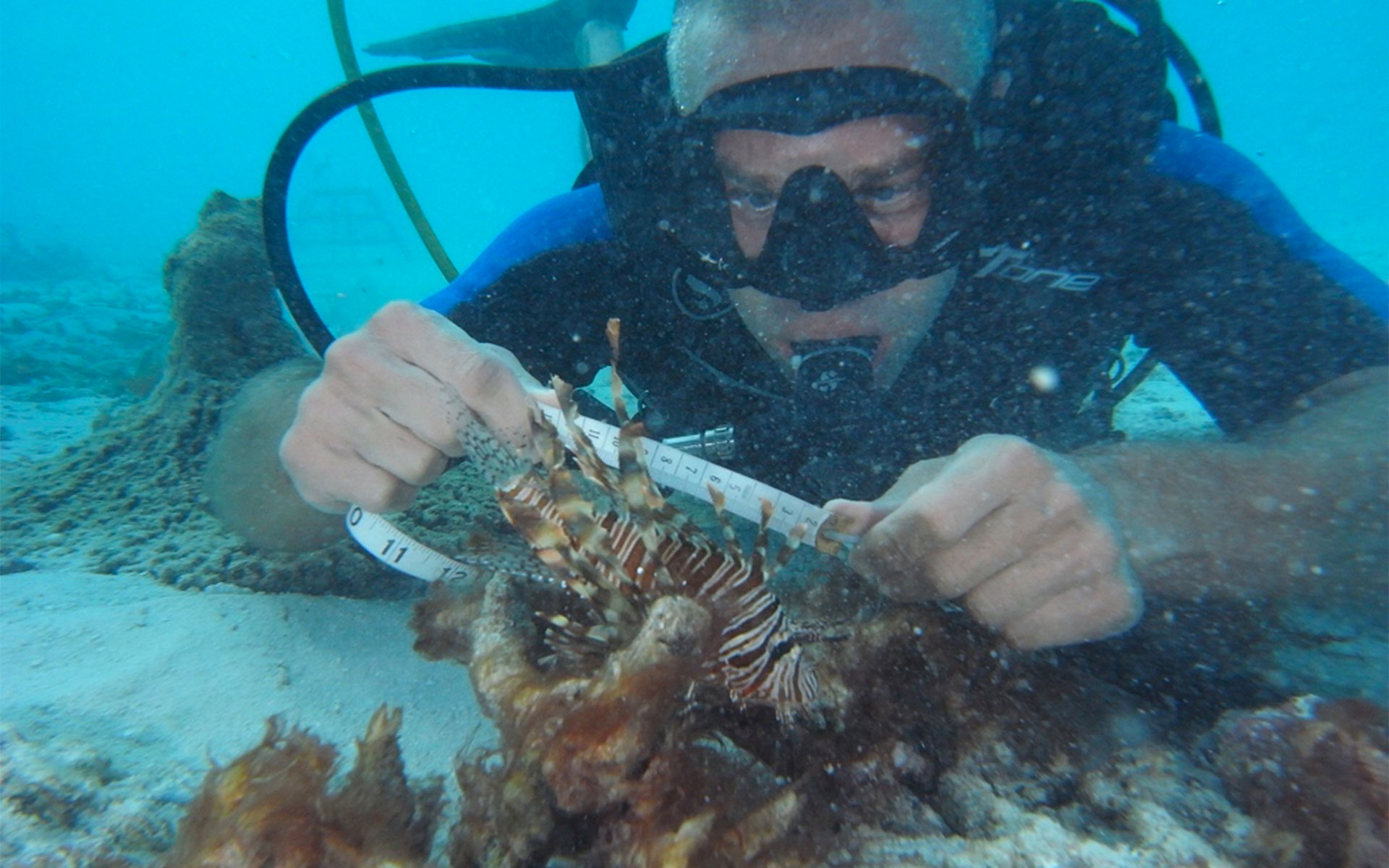 under-the-deep-blue-sea-a-career-in-marine-biology
