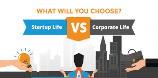 Startup Job vs. Corporate Life