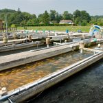 Bassins_de_la_pisciculture_de_la_Calonne wikimedia commons