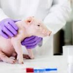 download (1) mejorimageneu