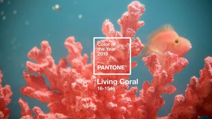 living coral color of the year