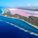 pink lake – australian geographic
