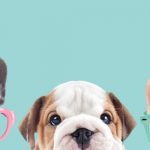 e6bffcd2e194a6b1b8317b8f5126f7a409e150d6_Home-slider-2_v2