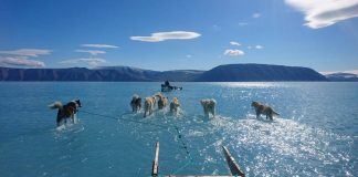 Greenland Ice Melts