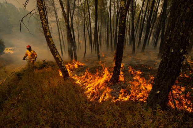 Brazil’s Amazon Rainforest Wildfires Cause Blackout During Day