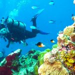 Cozumel Cruise Excursions