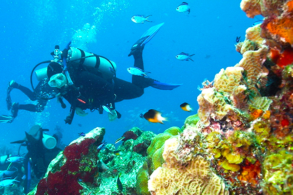 scuba diving destinations