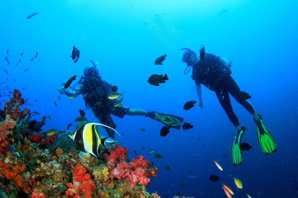 scuba diving destinations 