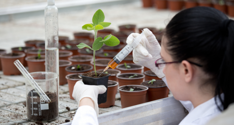 phd botany jobs in india