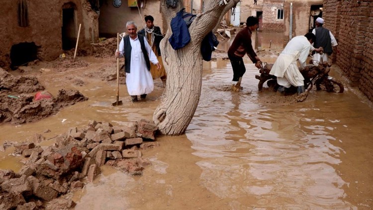 Afghanistan Floods, NSUI