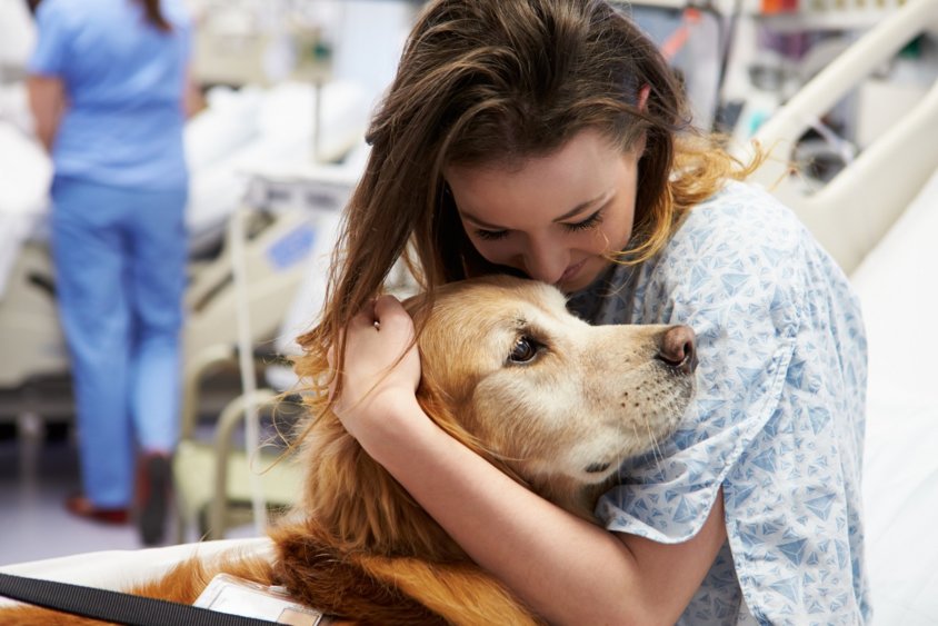 Animal Therapy: A Way To Keep The Heart Happy