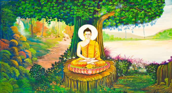 Nature, Banayan Tree, Buddha