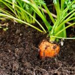 a2353bbe59b0769e45f01371f1c26551