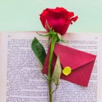 red-rose-branch-with-envelope-big-book