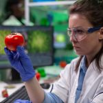 front-view-biologist-reseacher-woman-analyzing-tomato-injected-with-chemical-dna