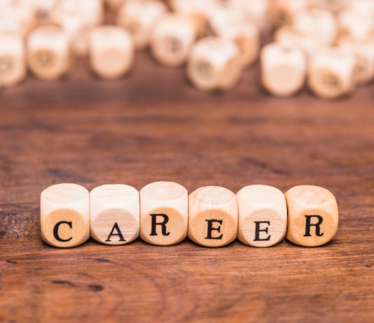 Career That Befits A Person
