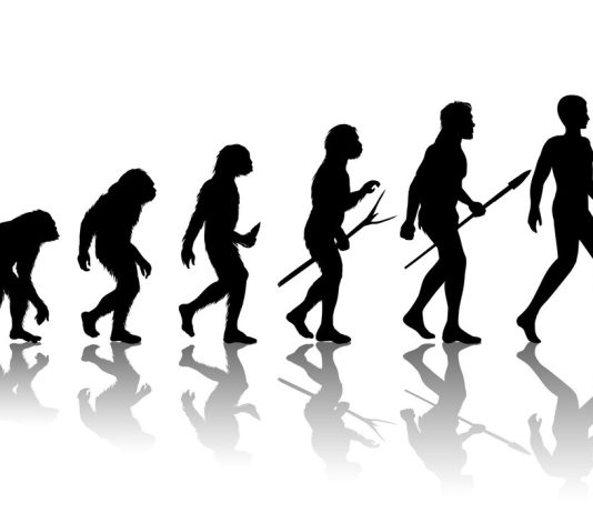 Anthropology: A Holistic Study of Humanity in India Anthropology