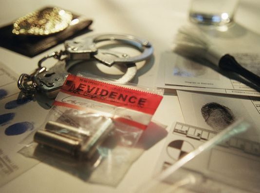 Criminology Career: A Guide To Career Paths and Scope Criminology career