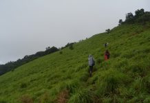 monsoon trekking