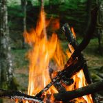 pexels-snejina-nikolova-2775142-4316837