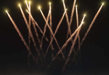 Waves 2025: A Celebration That Took Over Goa