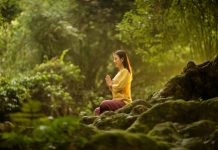 Why Modern India Is Choosing Experiences and Holistic Living Over Materialism